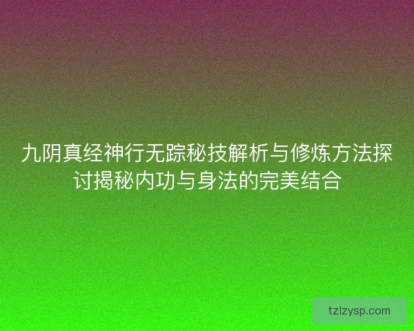 九阴真经神行无踪秘技解析与修炼方法探讨揭秘内功与身法的完美结合