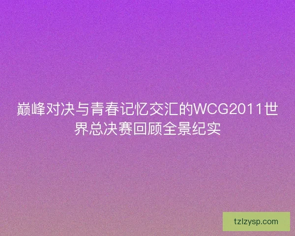 巅峰对决与青春记忆交汇的WCG2011世界总决赛回顾全景纪实