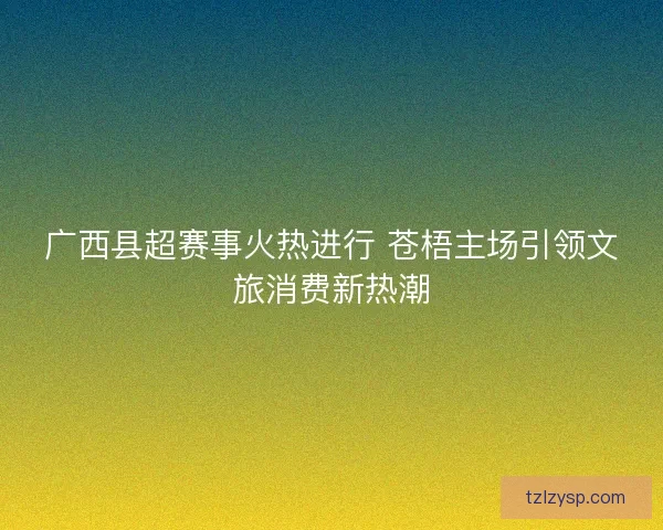 广西县超赛事火热进行 苍梧主场引领文旅消费新热潮